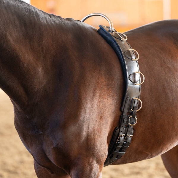 Surfaix avec support flexible TU