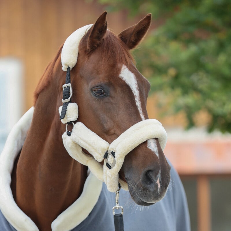 Licol de transport - fausse fourrure (Vegan)