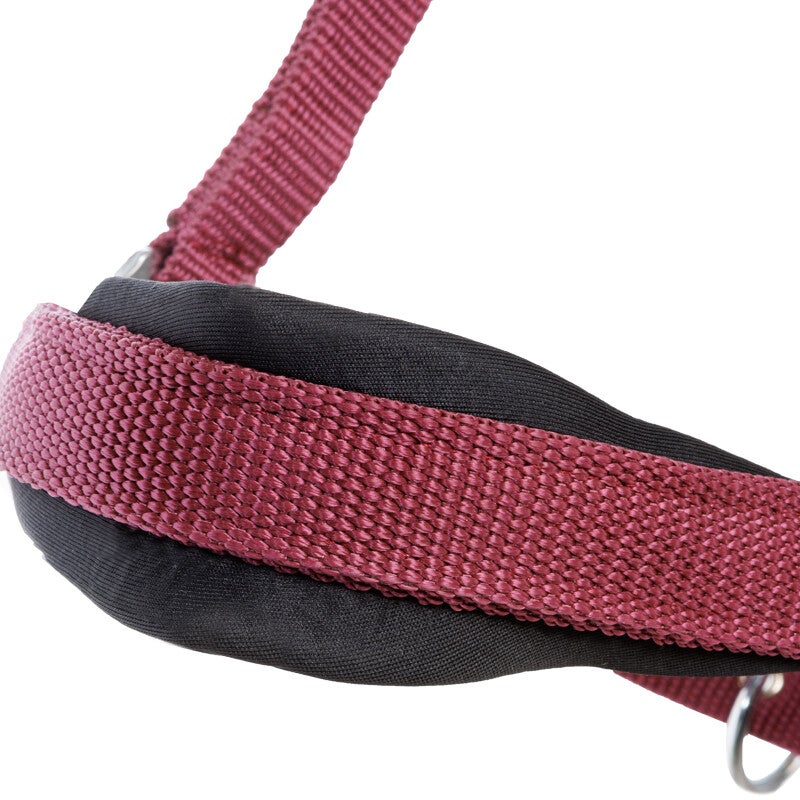 Licol CLASSIC SIMPLE