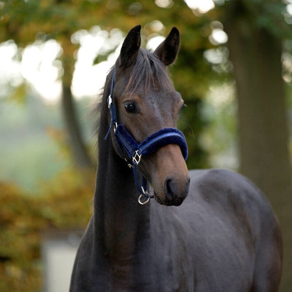 Licol poulain à paillettes FOAL STAR en fausse fourrure