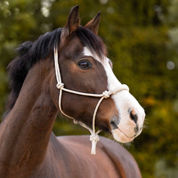 Licol éthologique naturel