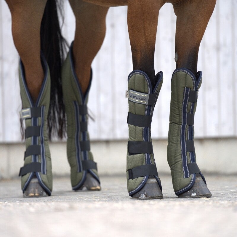 Guêtres de transport MONTREAL - lot de 4