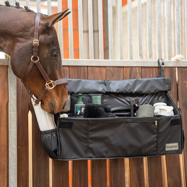 Sac de porte de box COMPETITION