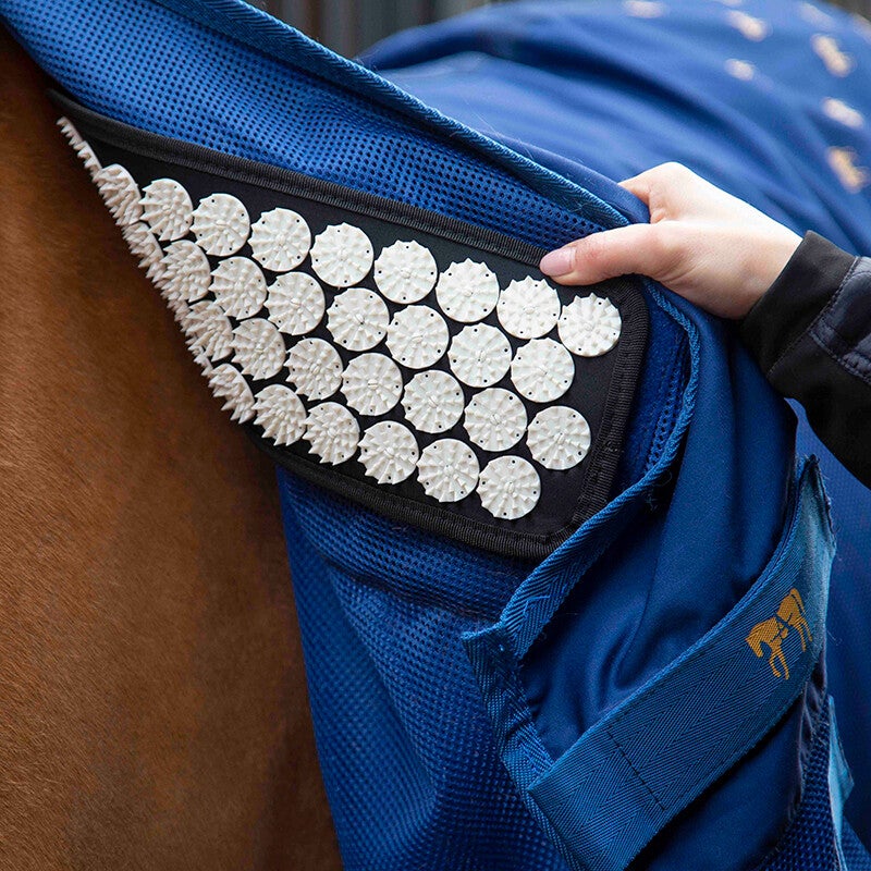 Refroidisseur ou Original Accuhorsemat avec tapis d'acupression