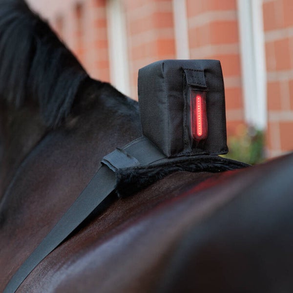 Sangle d'éclairage de sécurité HORSELIGHT