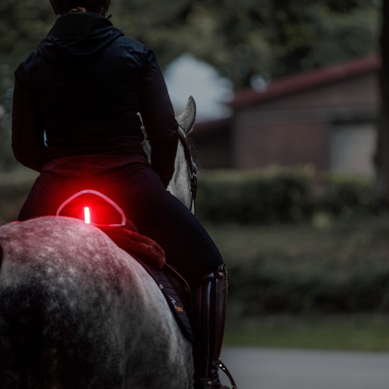 Eclairage de sécurité arrière HORSELIGHT