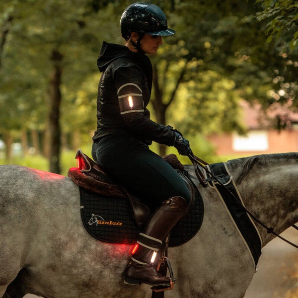 Eclairage Bras et Jambes HORSELIGHT