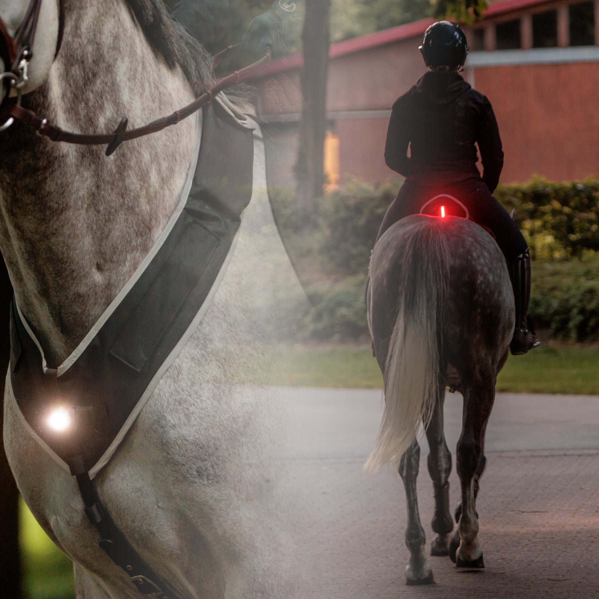 Set d'éclairage HORSELIGHT