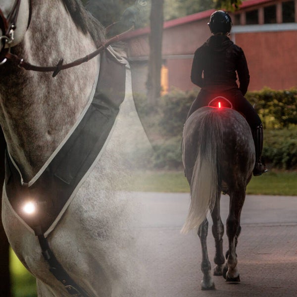 Set d'éclairage HORSELIGHT