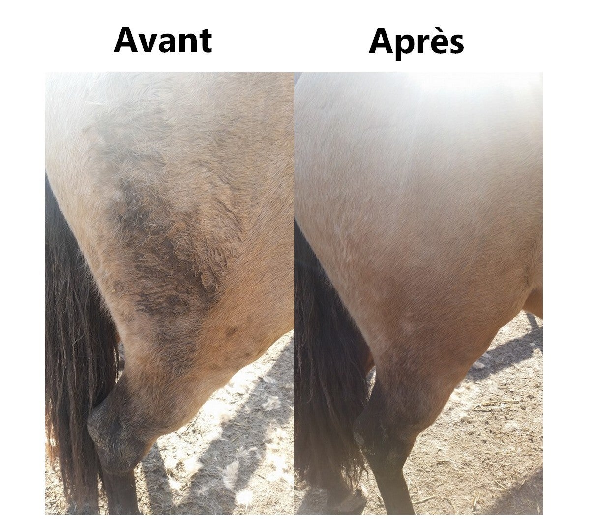 Détachant Robe et Crin EKIN