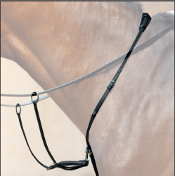 Martingale de sécurité SOLID