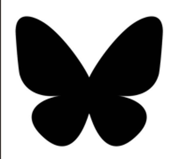 Papillon modèle 3