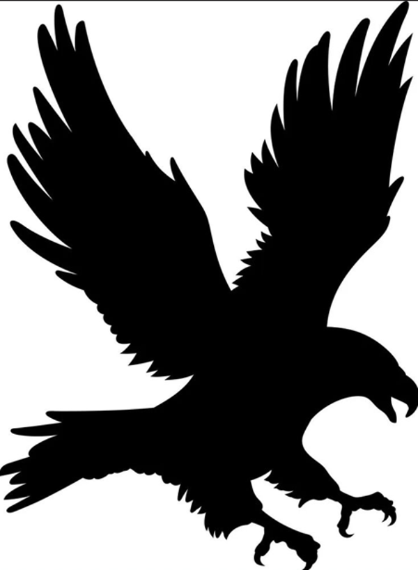 Aigle modèle 1
