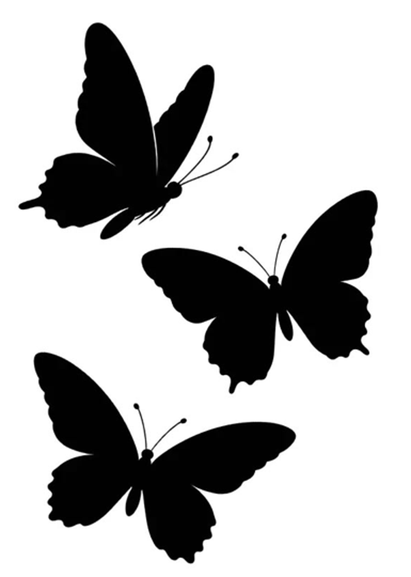 Papillon modèle 5
