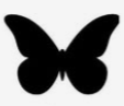 Papillon modèle 6