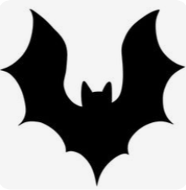 Chauve-Souris modèle 3