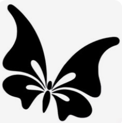 Papillon modèle 12