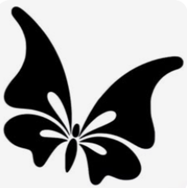 Papillon modèle 12