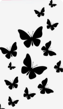 Papillons modèle 13