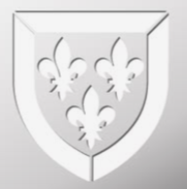 Blason modèle 4