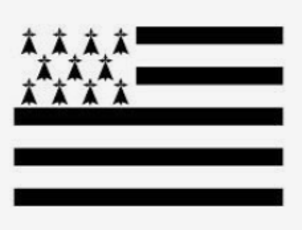 Drapeau modèle 1