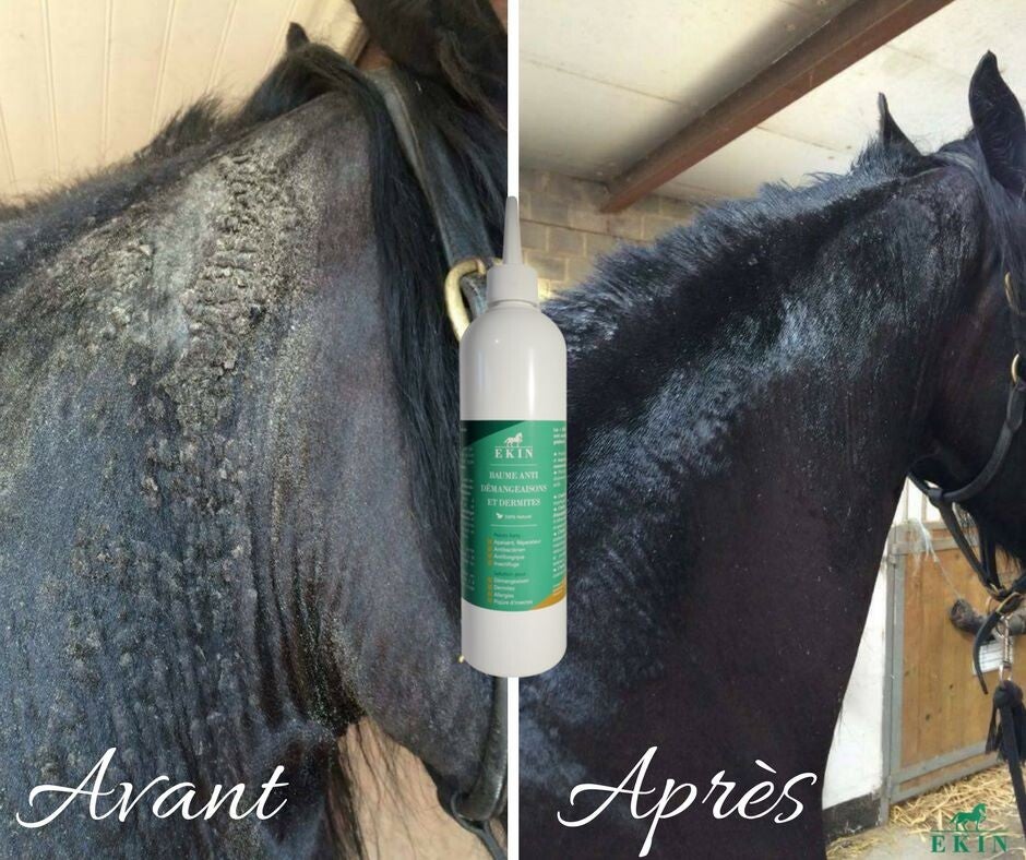 Baume Anti-Démangeaisons et Dermites EKIN