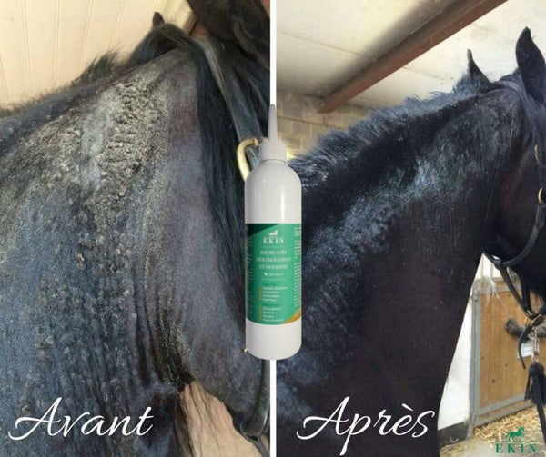 Baume Anti-Démangeaisons et Dermites EKIN