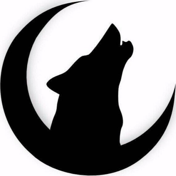 Loup Nocturne