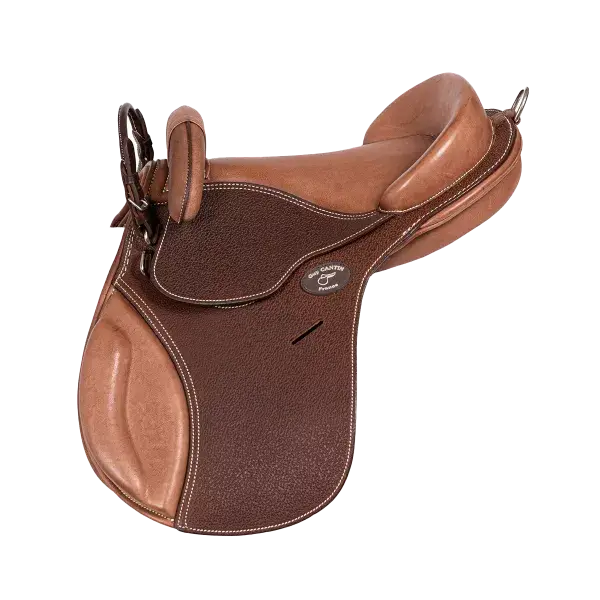 Bardette Guy Cantin Education