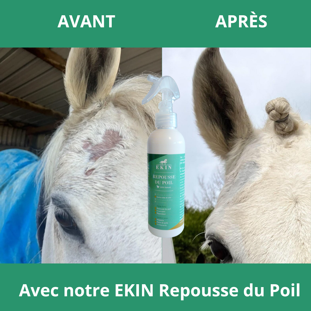 Repousse du Poil EKIN