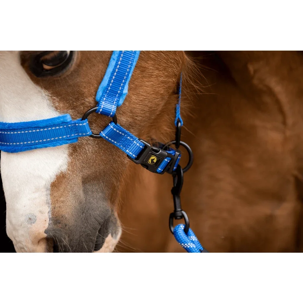 Licol réfléchissant SUPERIOR EXCELLENT