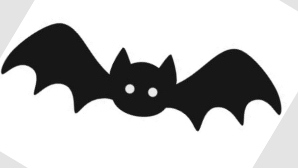 Chauve-Souris modèle 2