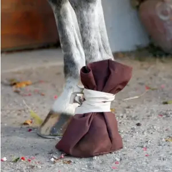 Chaussure de traitement des sabots