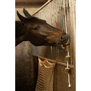 Luzerne sur corde LAX