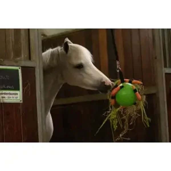 Fun Play Ball EXCELLENT