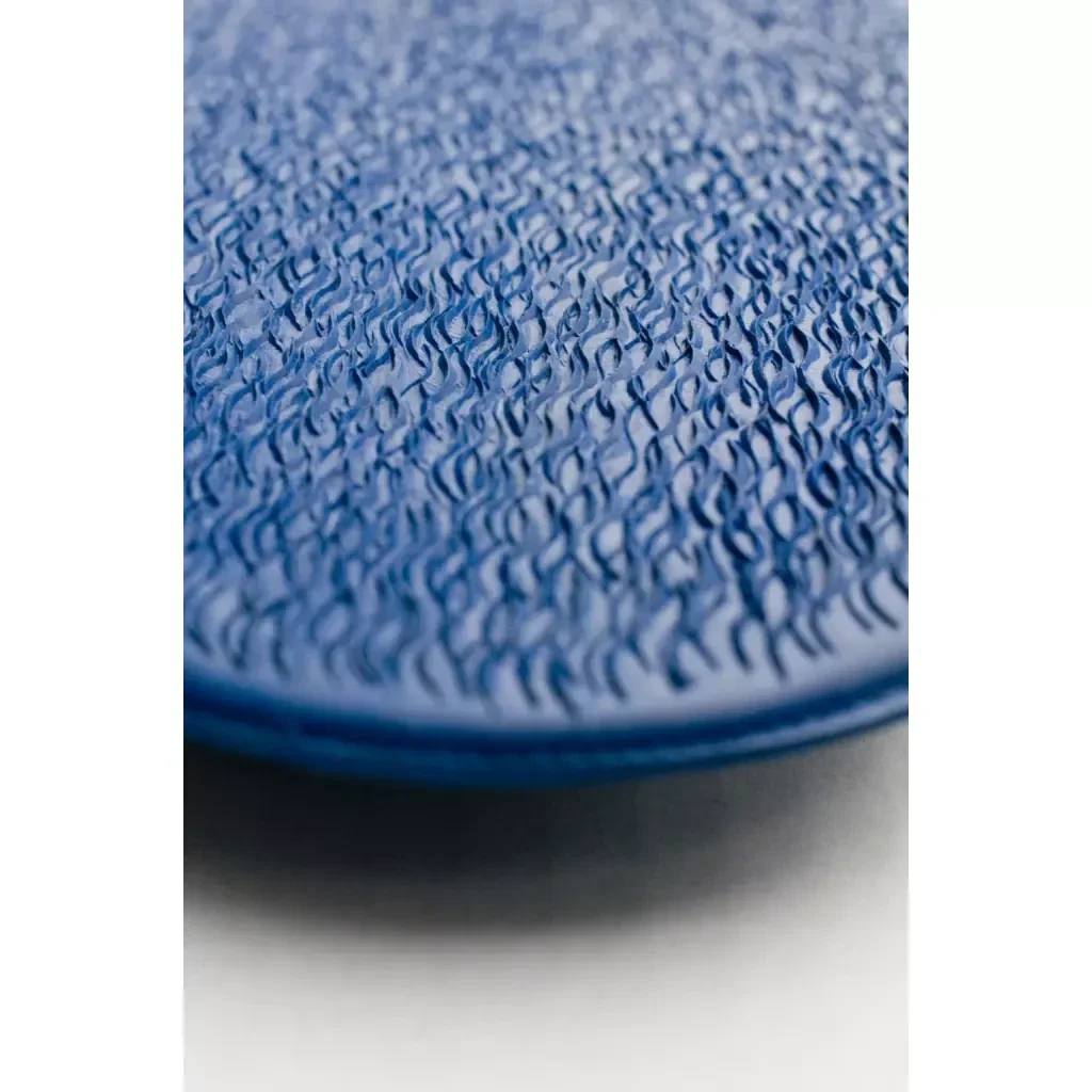 Brosse de massage et épilateur d'œufs de mouches