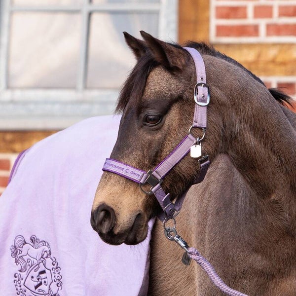 Licol "Unicorn Academy"- Glitzer