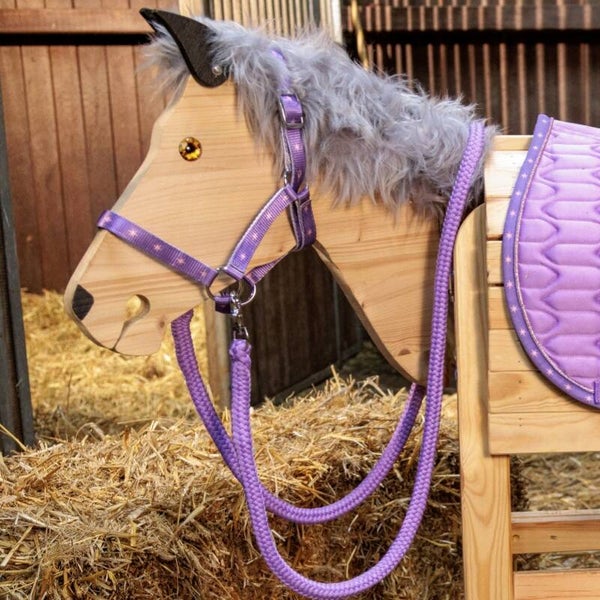 Licol "Unicorn Academy" avec rênes