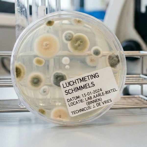 Schimmel sample (lucht)