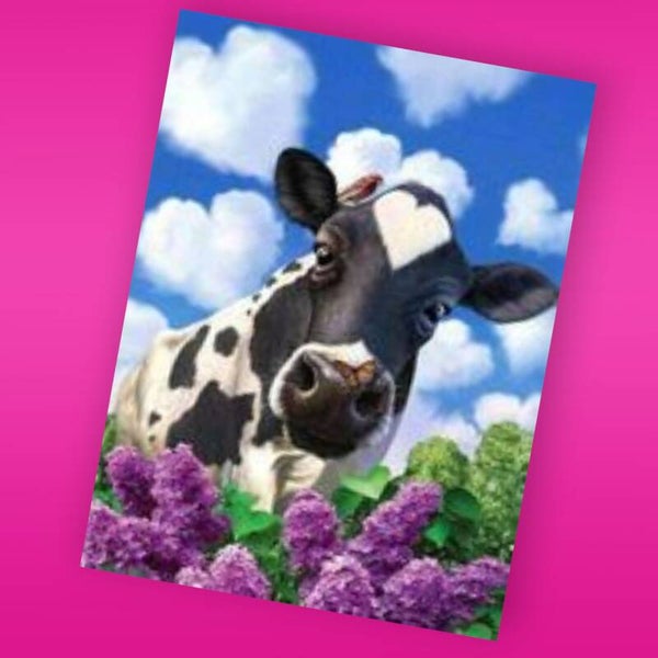 190. koe 50x40 cm vierkante stenen