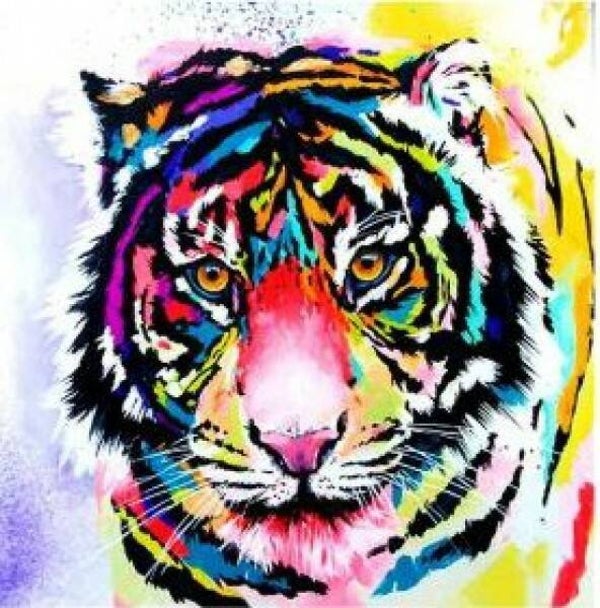 diamond painting 50x40 ronde stenen