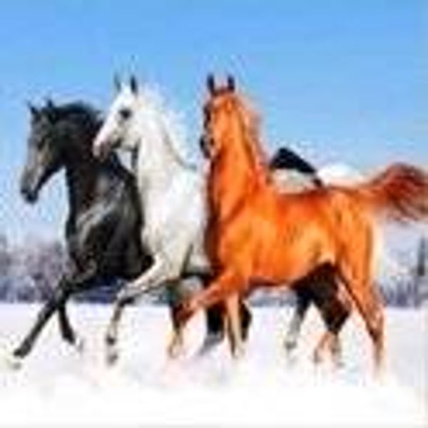 diamond painting 40x30 ronde stenen