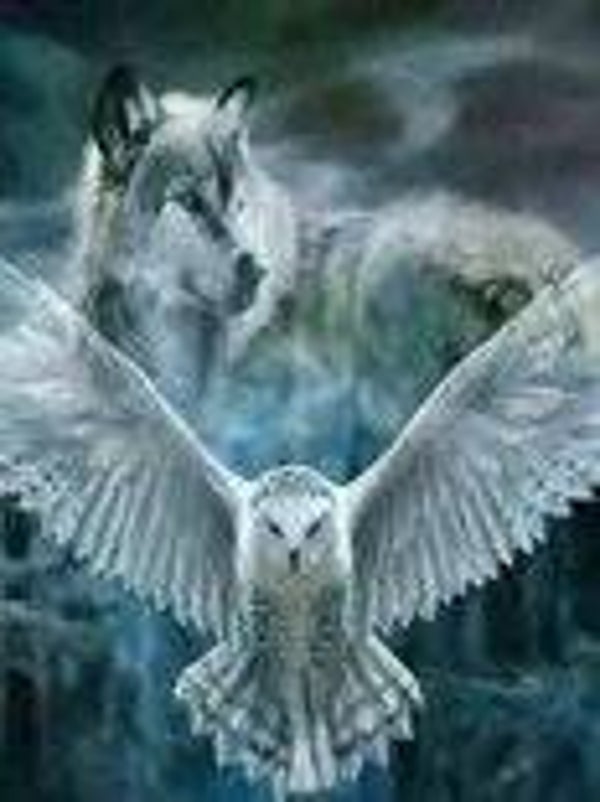 diamond painting 50x40 cm vierkante stenen