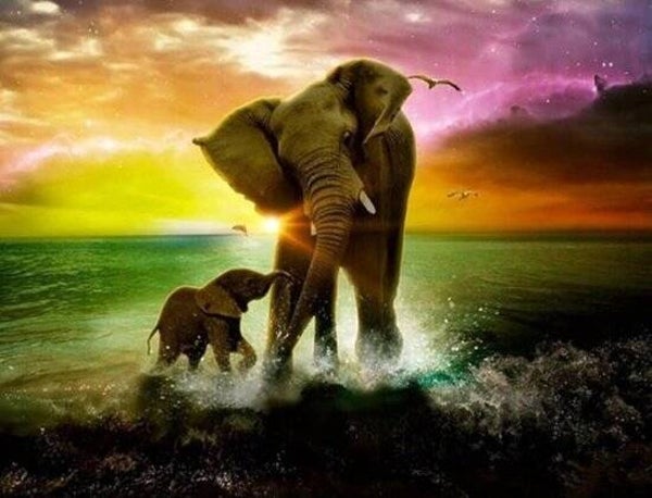olifant met jong 40x30 cm ronde stenen