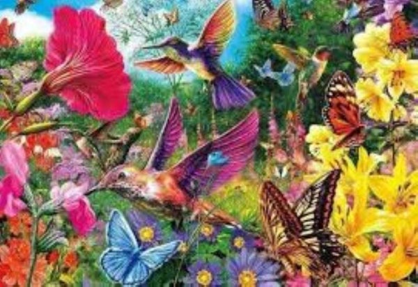 90. kolibries 60x40 cm vierkante stenen