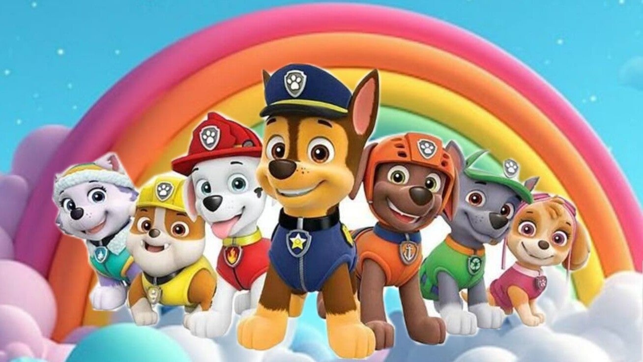 paw patrol c21