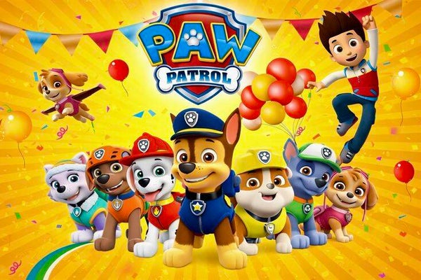 paw patrol c32