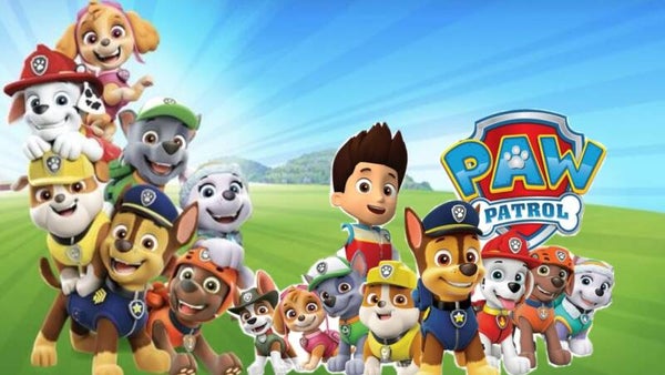 paw patrol c43