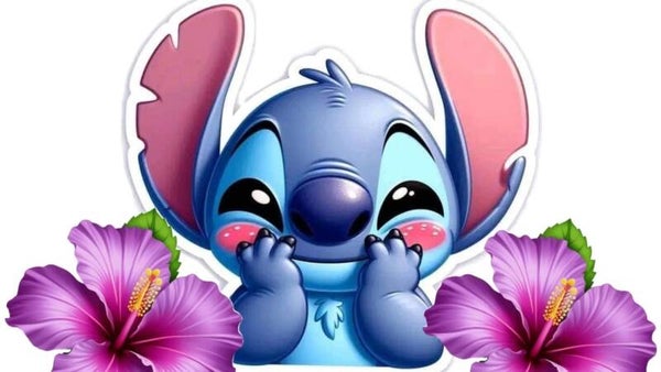 stitch c44