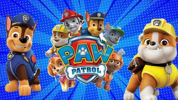 paw patrol c47